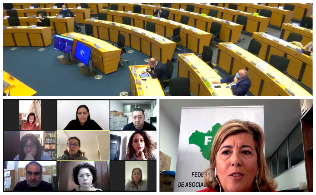 intervención en parlamento europeo